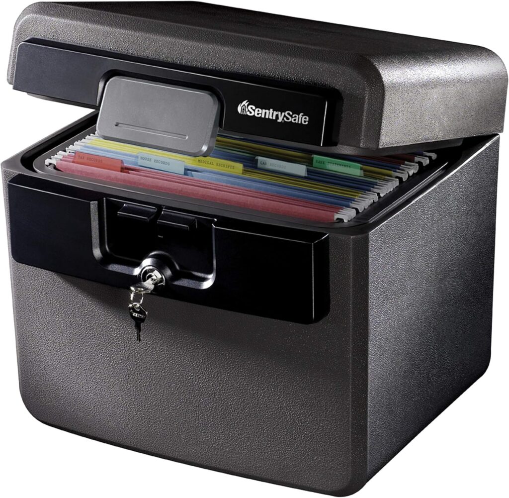 A picture showing SentrySafe Black Fireproof and Waterproof Safe